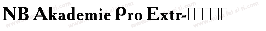 NB Akademie Pro Extr字体转换